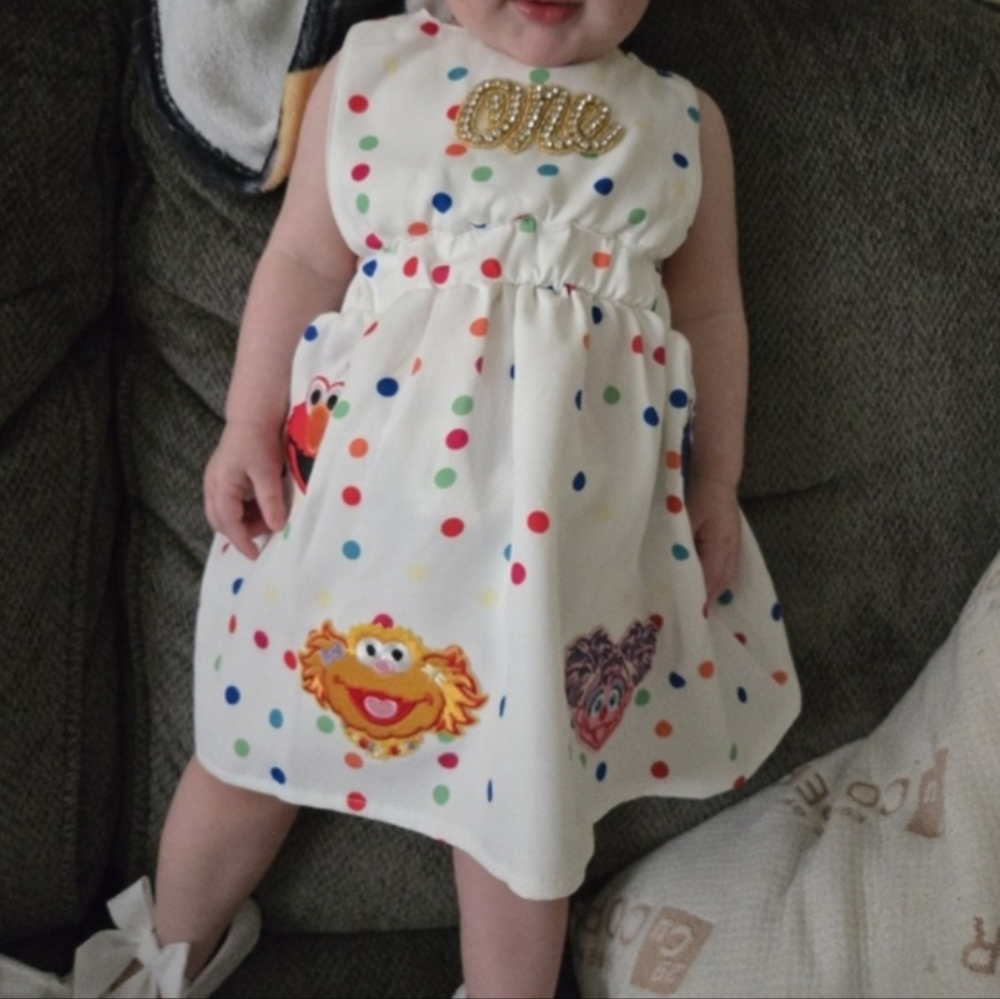 Elmo Dress Smash Cake First Birthday Cookie Monster Clothes Sesame Street Abby - Picture 4 of 6